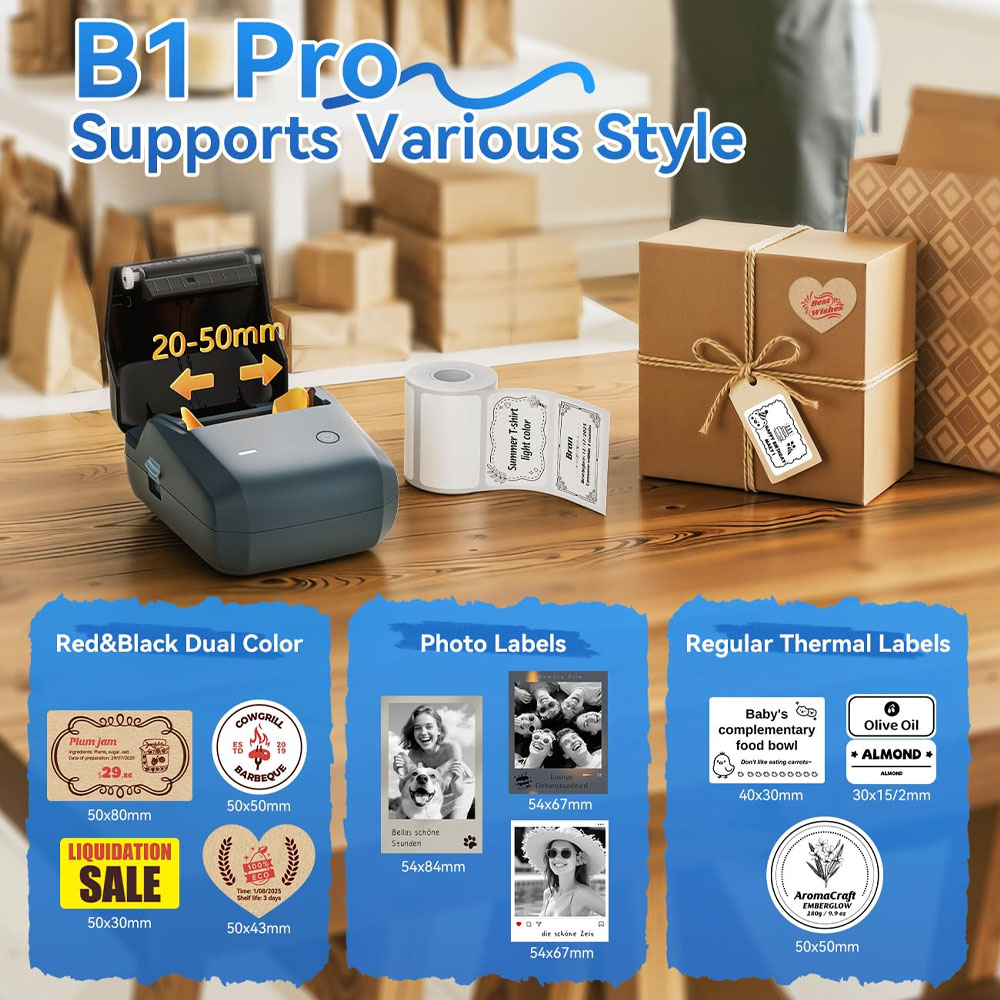 Niimbot B1/B1PRO Label Printer - Commercial Printing Dpi avis et prix